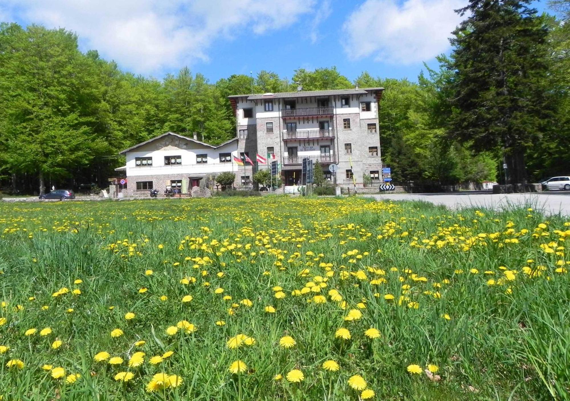 Albergo Le Macinaie - Monte Amiata Castel del Piano  Exteriér fotografie
